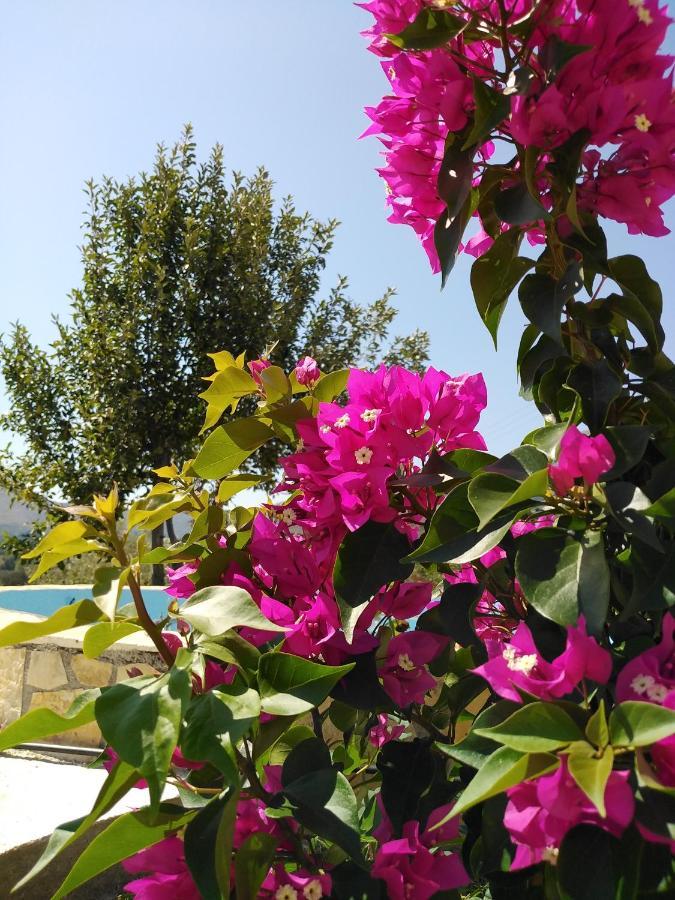 Apartment With Pool In Tzanata Kefalonia Dhimisianata ภายนอก รูปภาพ